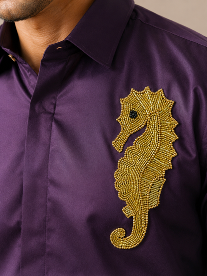 Sea Horse