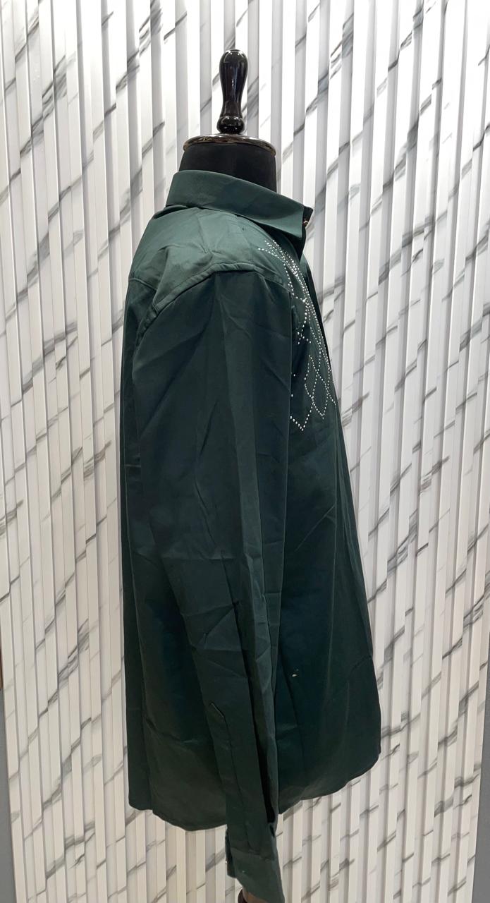 Designer Plain Shirt - Green